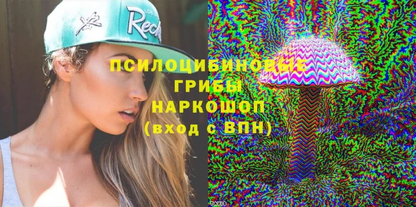стафф Краснотурьинск