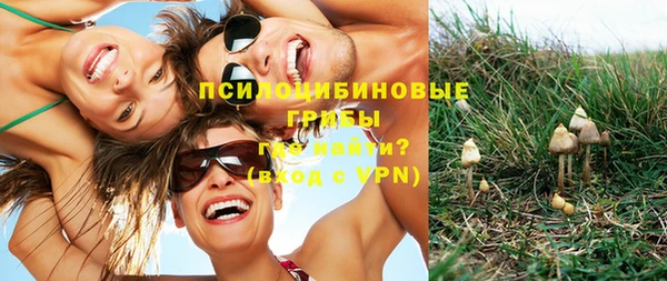 дурь Краснослободск