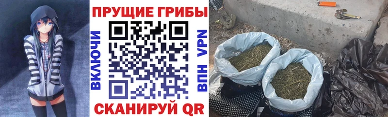 Псилоцибиновые грибы Psilocybe  Усть-Кут 
