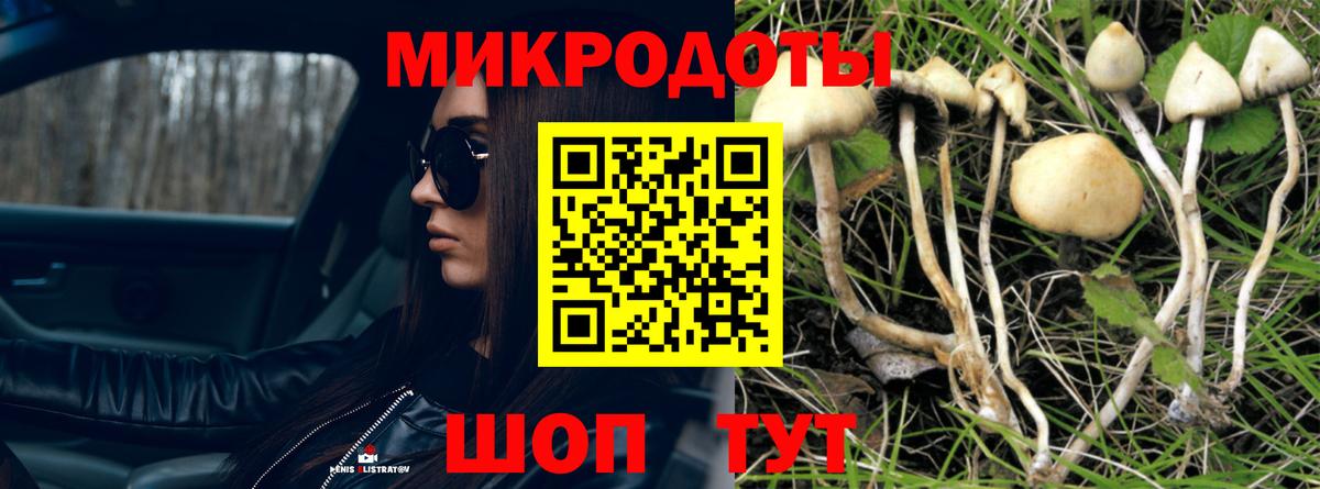 Галлюциногенные грибы ЛСД  Вход с VPN  Псилоцибиновые грибы Psilocybe  Усть-Кут 