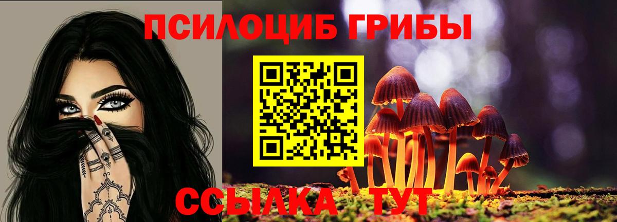 Галлюциногенные грибы мухоморы Усть-Кут